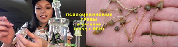 крисы Гусь-Хрустальный