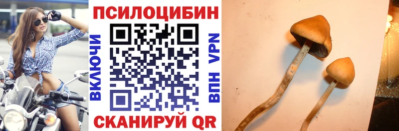 Купить закладки  Лукоянов  Псилоцибиновые грибы мухоморы 